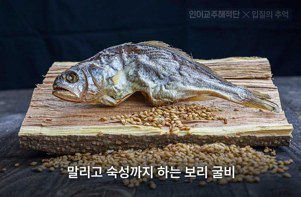 말려서 먹으면 더 맛있는 생선 6가지 - 인어교주해적단